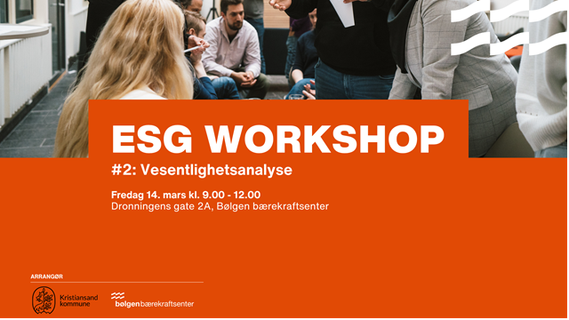 #2: Vesentlighetsanalyse