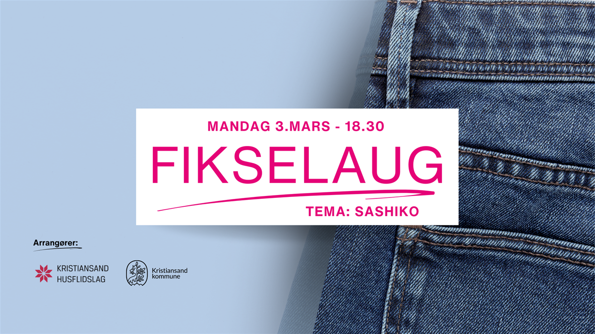 20250303-fikselaug