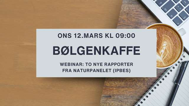 Bølgenkaffe 12.mars