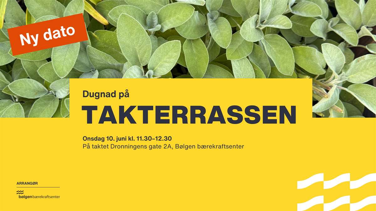 280610-dugnad-takterrassen