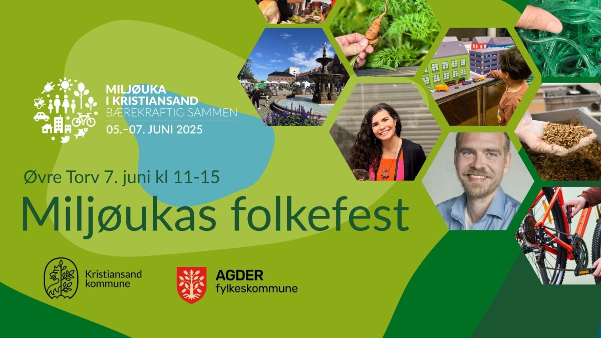facebook-plakat_folkefesten