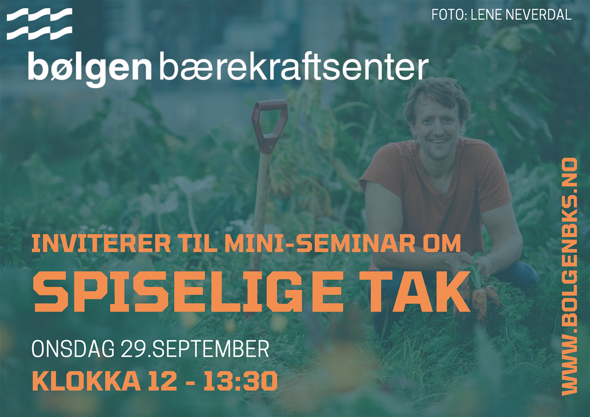 kun-overskrifter-spiselige-tak