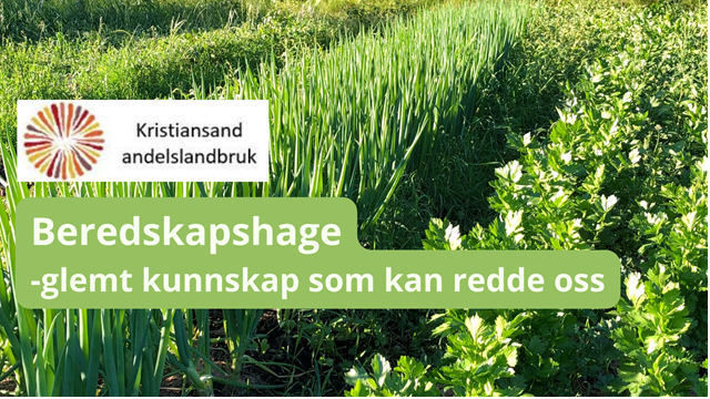 Kristiansand andelslandbruk: Beredskapshage