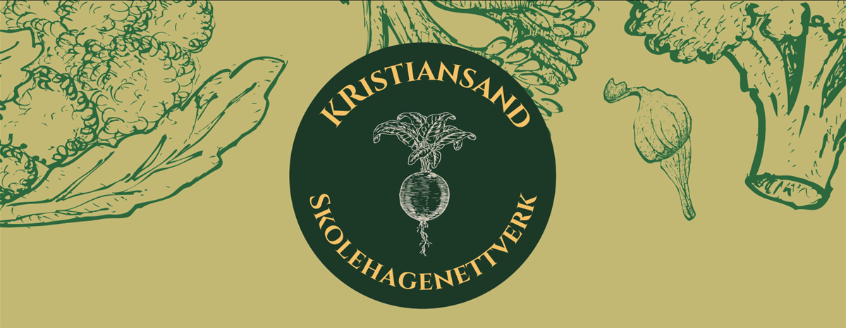 skjermbilde-2022-02-24-kl.-12.39.40
